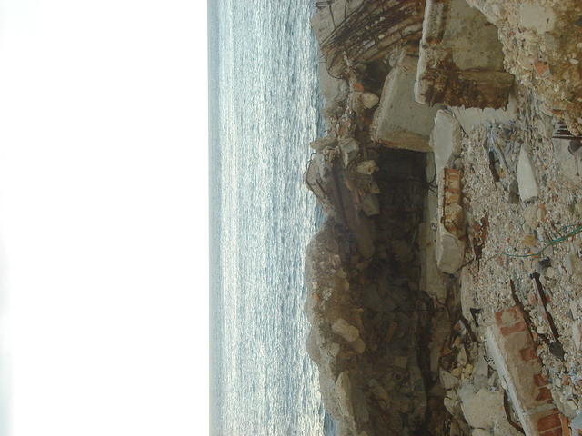 DSC00564