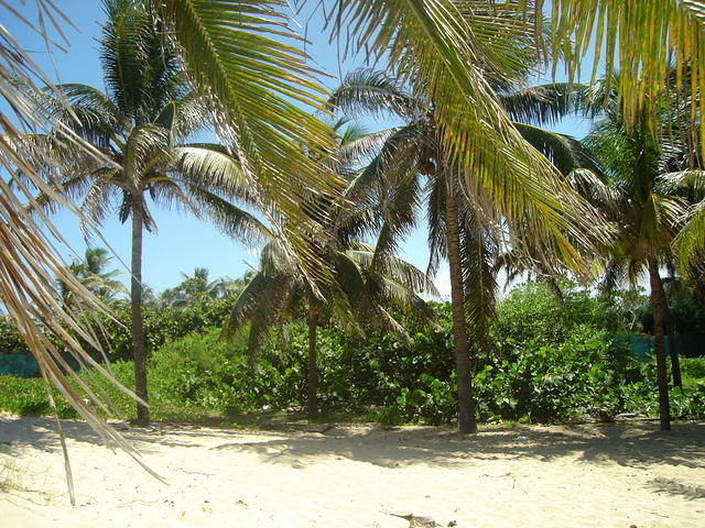 DSC00578