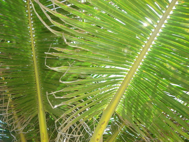 DSC00583