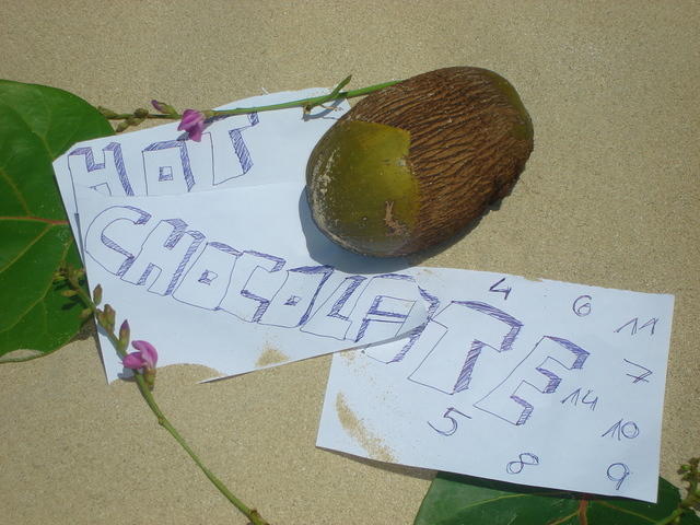 DSC00588