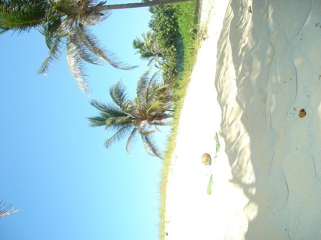 DSC00589