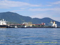 DSCI0086