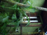 DSCI0142
