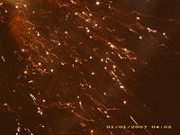 DSCI0211