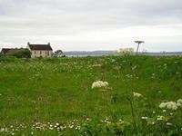 P6030013
