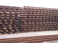 P6030021