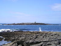 P6090044