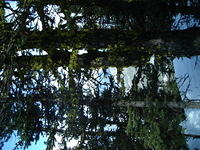 anne fotos 051