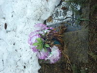 anne fotos 067