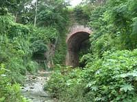 CIMG1372