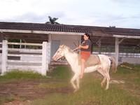 100 4542