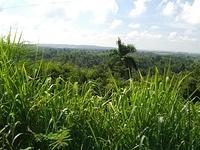 CIMG0446