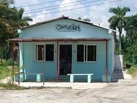 CIMG0515