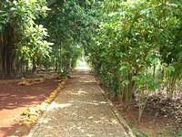 CIMG0536