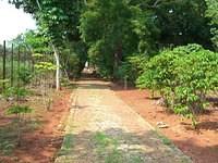 CIMG0547