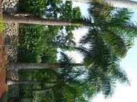 CIMG0548