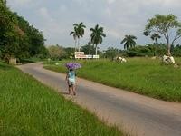 CIMG0549
