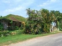 CIMG0562