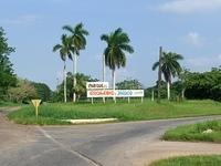 CIMG0563
