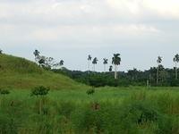 CIMG0576