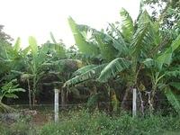CIMG0577