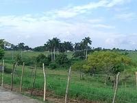 CIMG0595