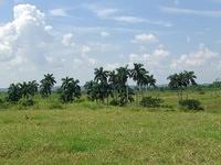 CIMG0609