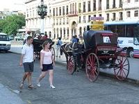 CIMG0667