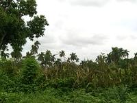 CIMG0734