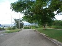 CIMG0739