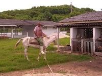 CIMG0810