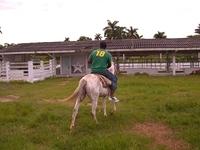 CIMG0814