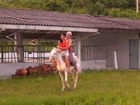 CIMG0822