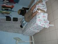 CIMG0894