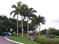 CIMG0919