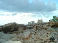 DSC00566