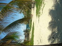 DSC00580