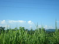 DSC00608